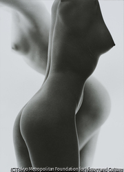 作品画像：