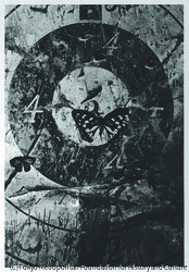 作品画像：蝶（二）