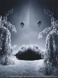 作品画像:Double Vision-Paris: アンドレ・シトロエン庭園
