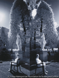 作品画像：Double Vision-Paris: ソー庭園