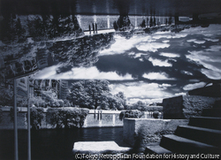 作品画像：Double Vision-Paris: ノートルダム大聖堂