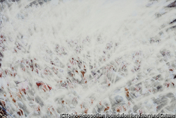 作品画像:WHITE OUT No.15