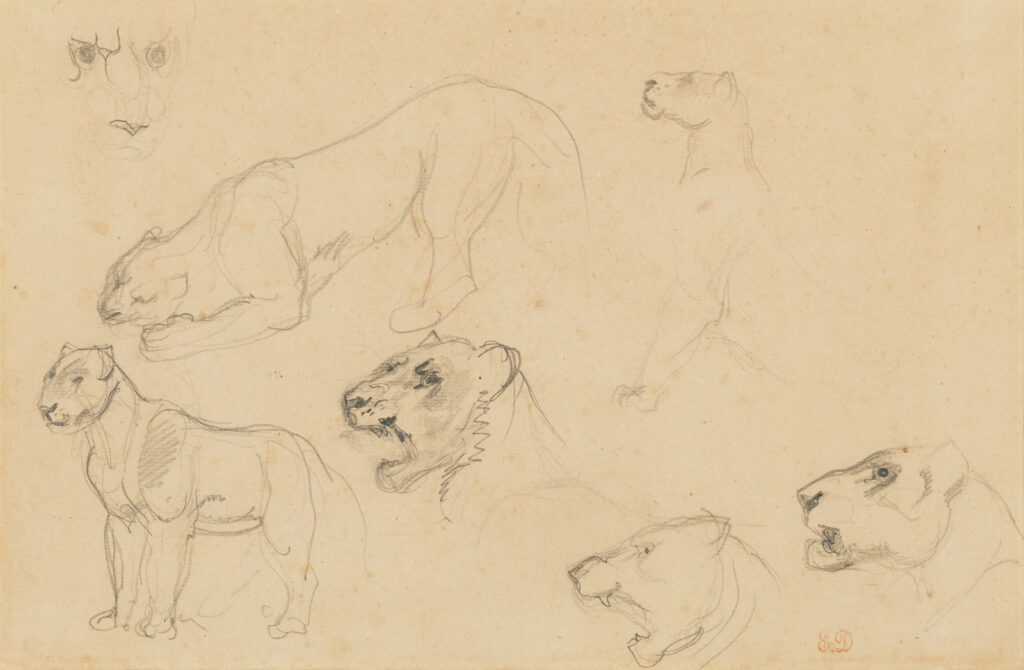 作品画像：獅子