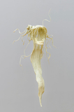 作品画像：Hollow: a braid no. 3