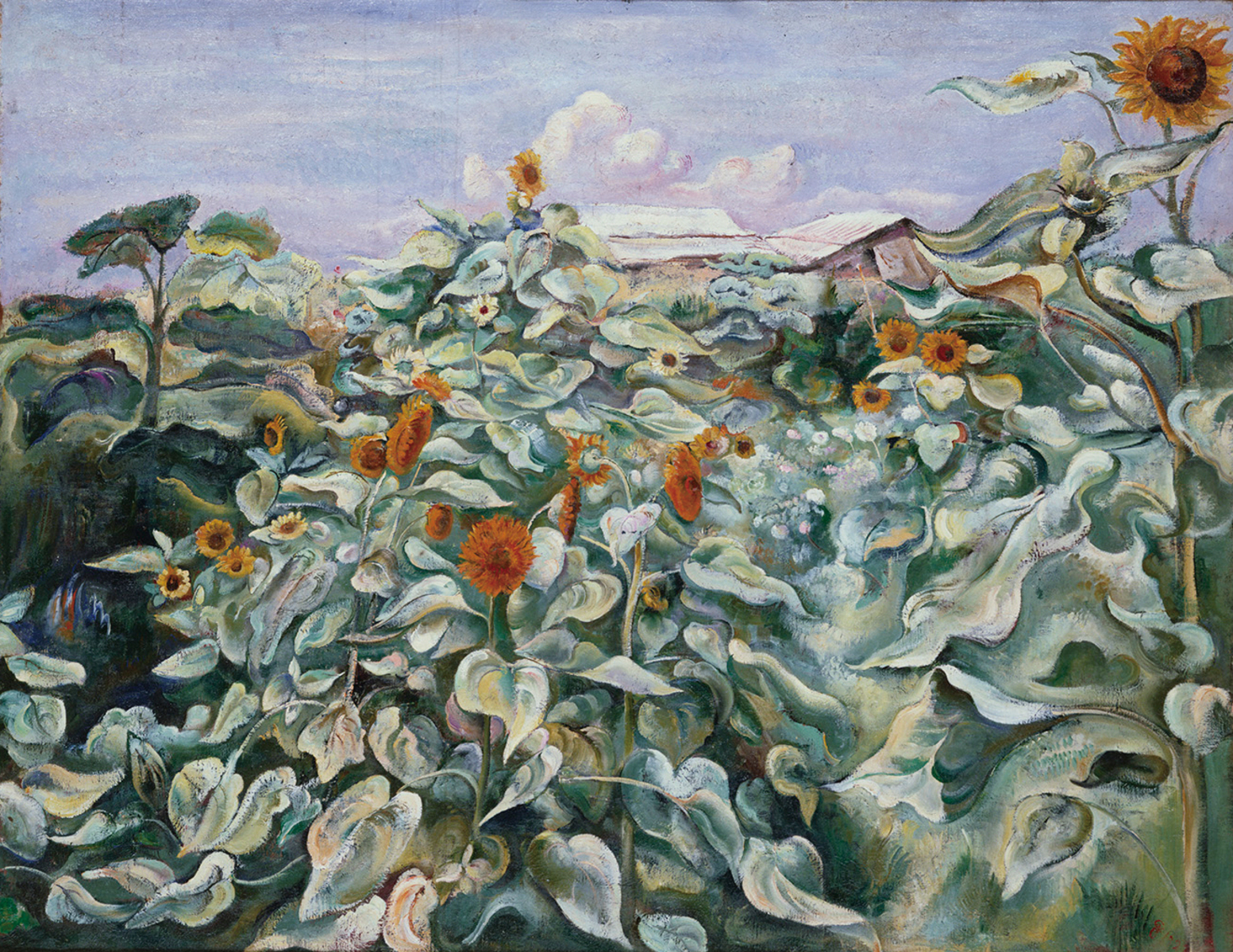 向日葵 | ToMuCo - Tokyo Museum Collection