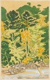 作品画像：面河溪五色河原［『郷土風趣』より］