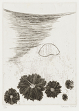 作品画像：13.　それは、忽ち水面を走る黒い昆虫の羽と化し、・・・［『九つの夢から』より］