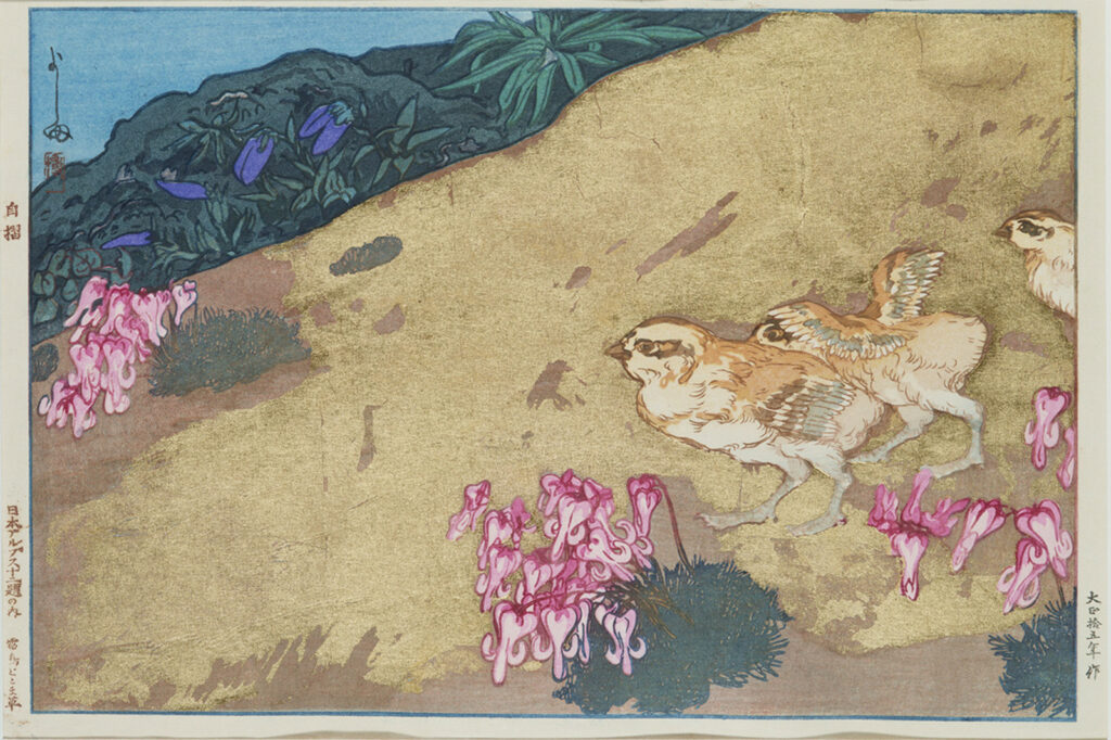 作品画像：雷鳥とこま草［『日本アルプス十二題』より］