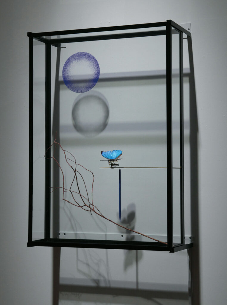 作品画像：バタフライ・ムーン