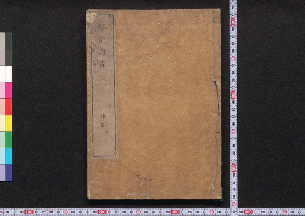 作品画像：解体新書