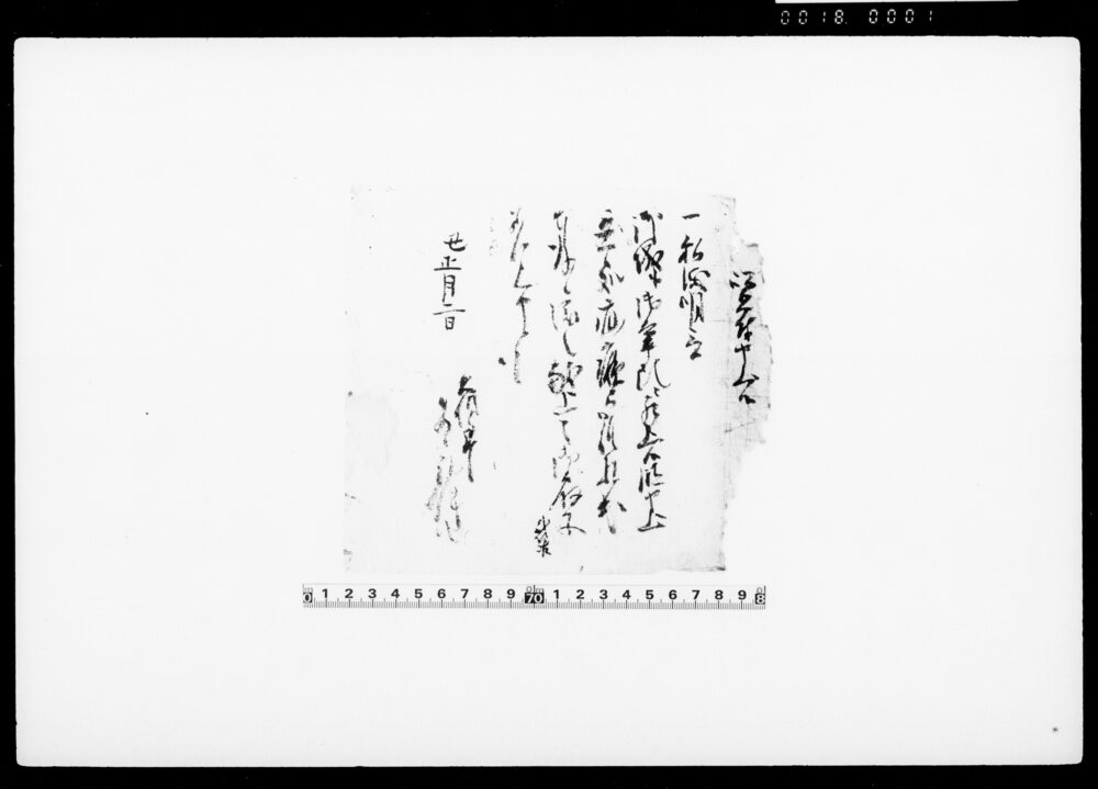 以書付申上候（江戸城への年頭参賀疝病にて難儀のため献上の扇子差上につき）