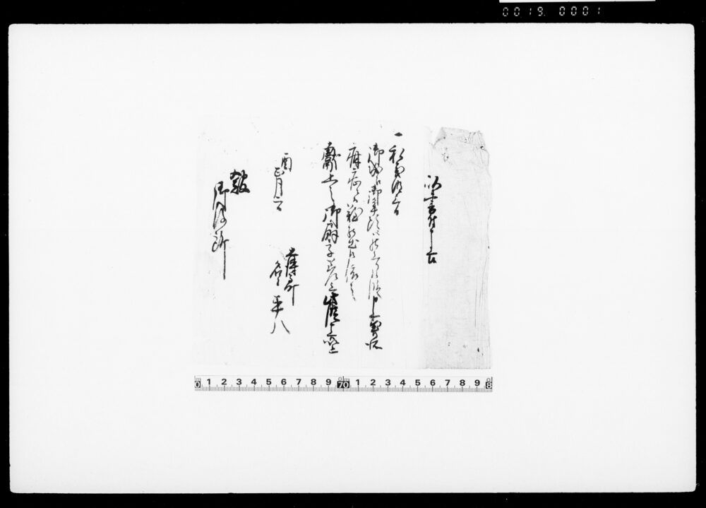 以書付申上候（江戸城への年頭参賀病症にて難儀のため献上の扇子差上につき）