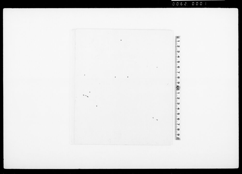 作品画像：柿葛袴（装束着用免状）