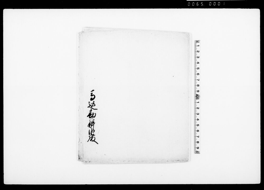 作品画像：紫糸紐（装束着用免状）