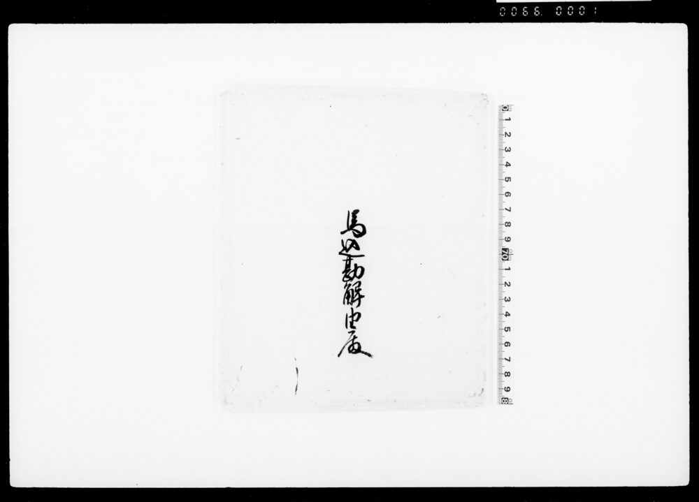 作品画像：有紋紫革（装束着用免状）