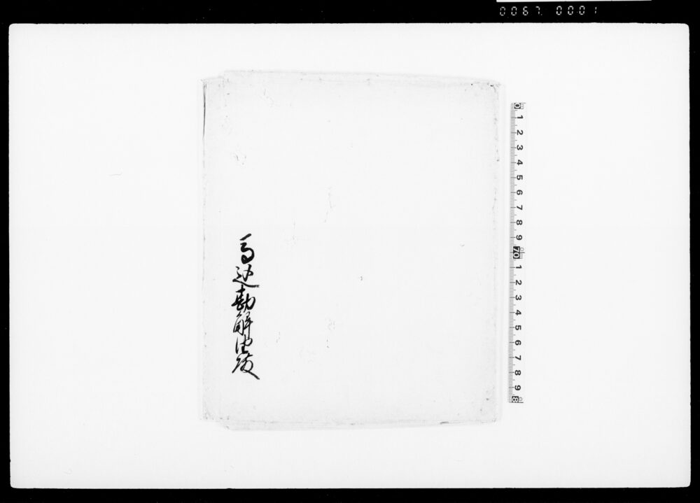 作品画像：有紋紫革（装束着用免状）