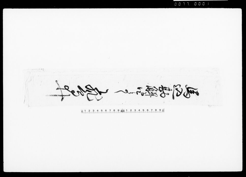 作品画像：[蹴鞠為門弟玉虫上免状]