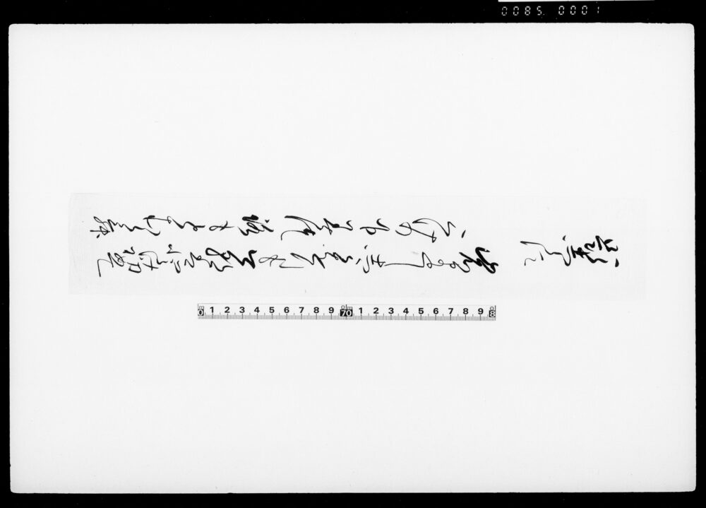 作品画像：［和歌短冊（題しらす）]