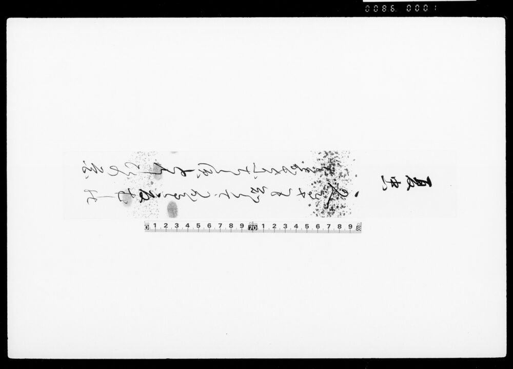 [和歌短冊（夏虫）]