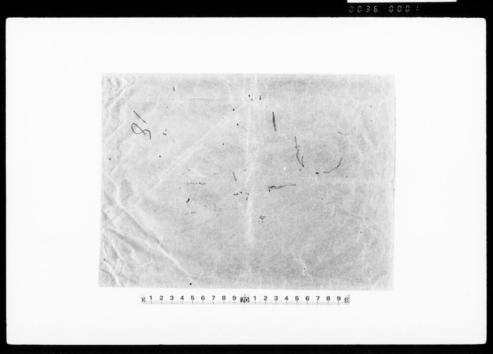 作品画像：[封筒]