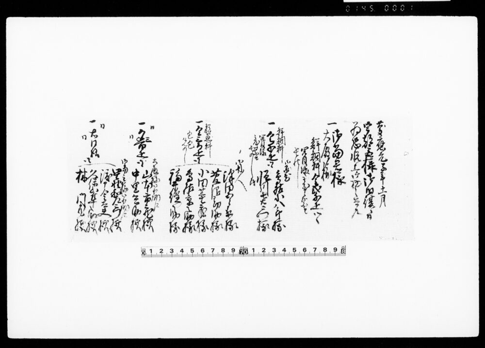 宇都宮様御旧復ニ付為恐悦上ケ物之覚