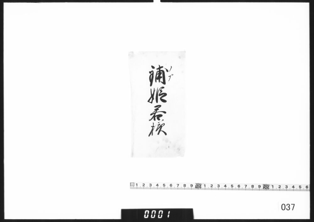 作品画像：書付「鋪姫君様」