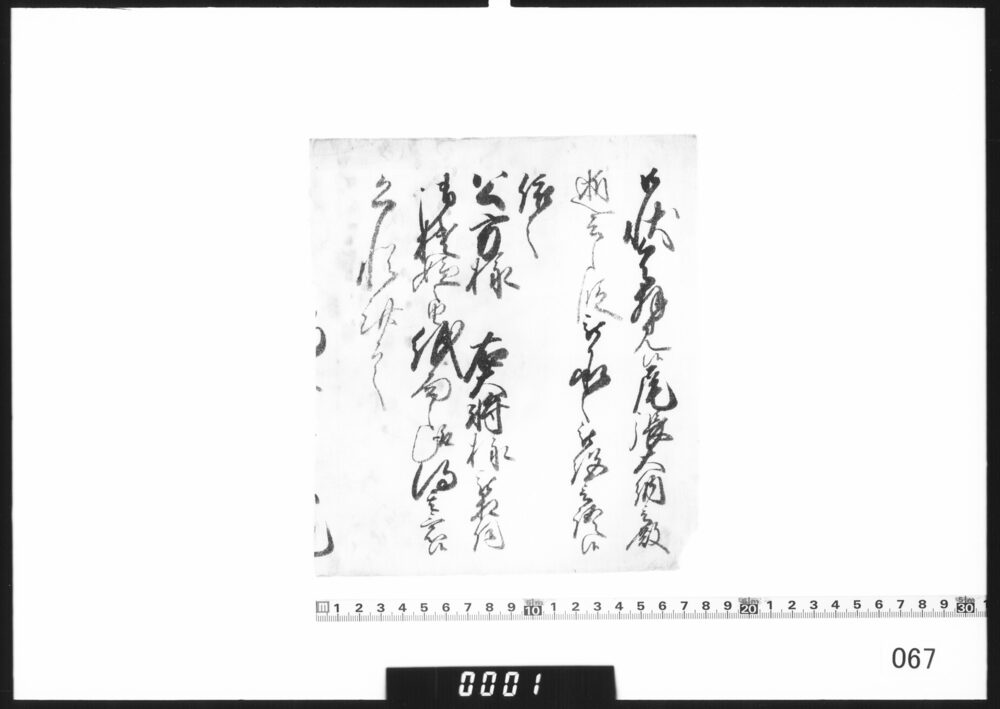 作品画像：奉書断簡(尾張大納言殿逝去につき)