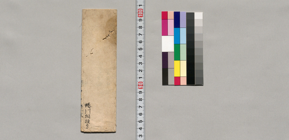 蜷川八十一郎養子縁組につき伺