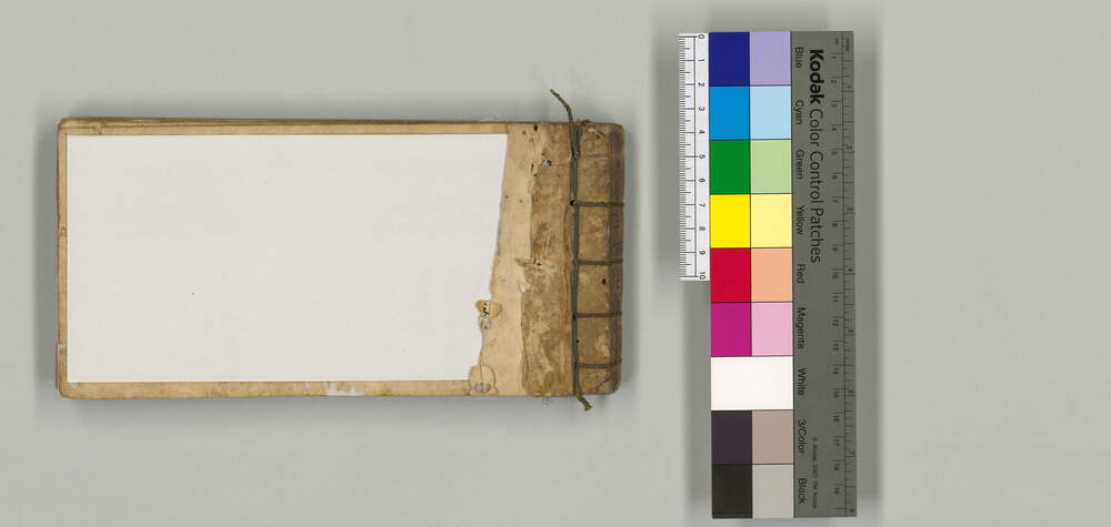 作品画像：[菓子雛形]