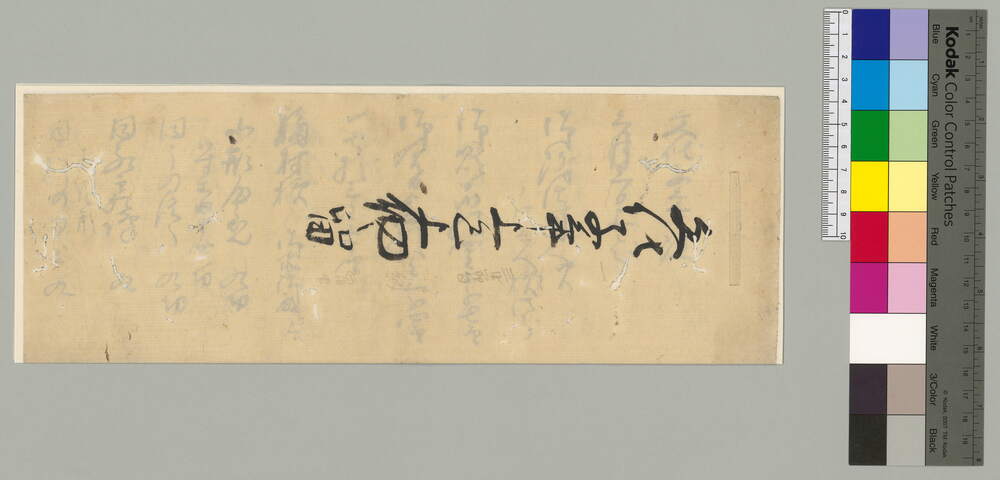 作品画像：文化子年上巳上納之留