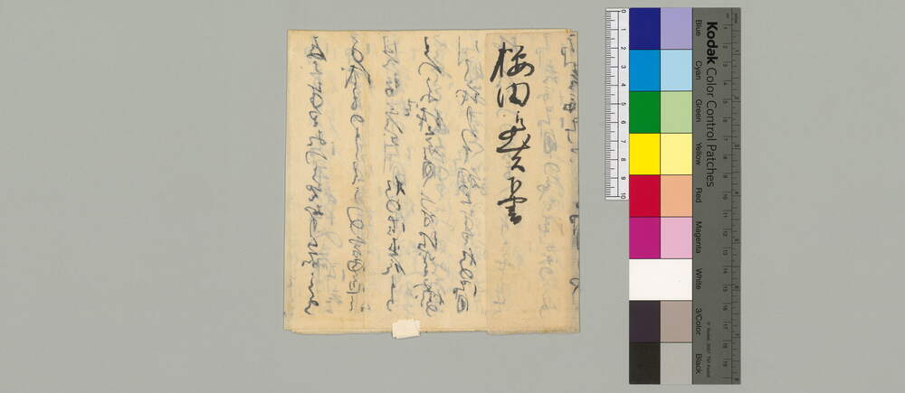 作品画像：[火急の節御用達の願書]