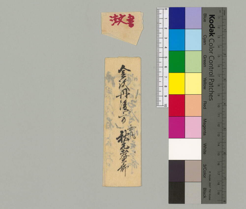 [西丸登城に付申渡 金澤丹後宛]