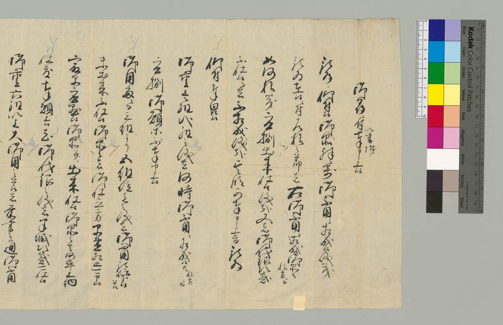 作品画像：御尋に付以書附奉申上候