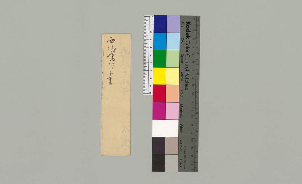 [本丸様より用向仰付られる件につき書付]