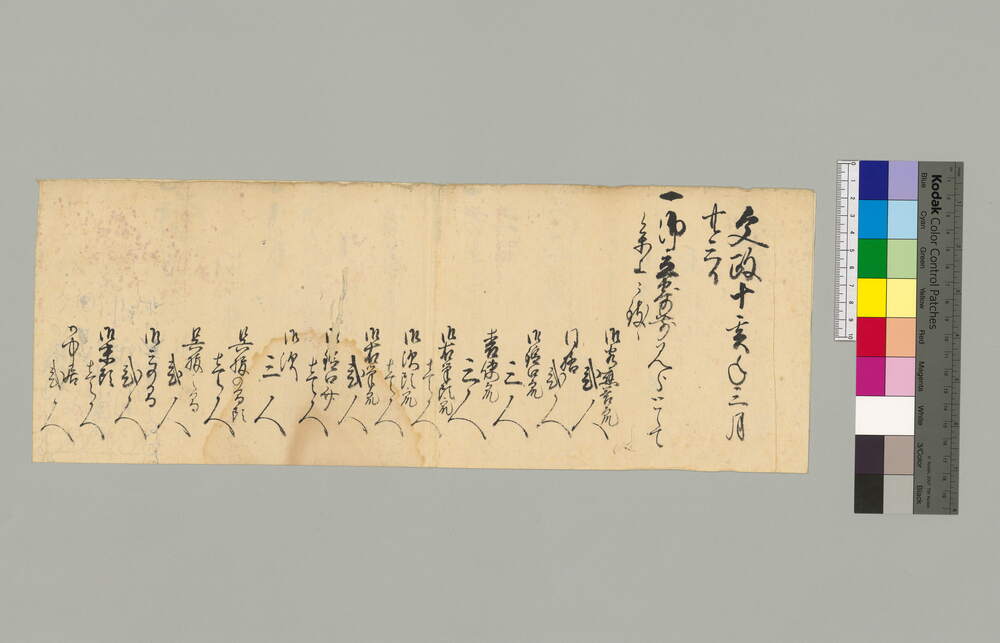 作品画像：御立寄前見分として参上被致候書上