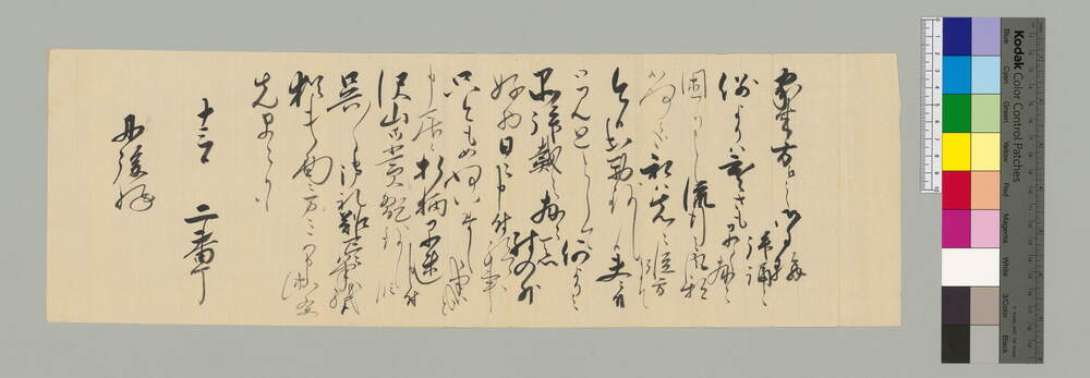 金澤丹後宛書簡(見廻品御礼)