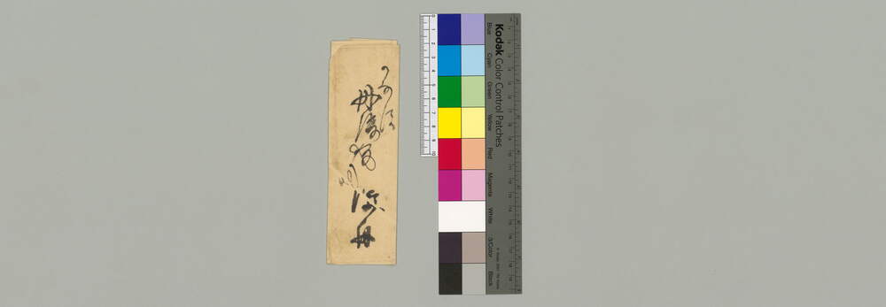 金澤丹後宛書簡