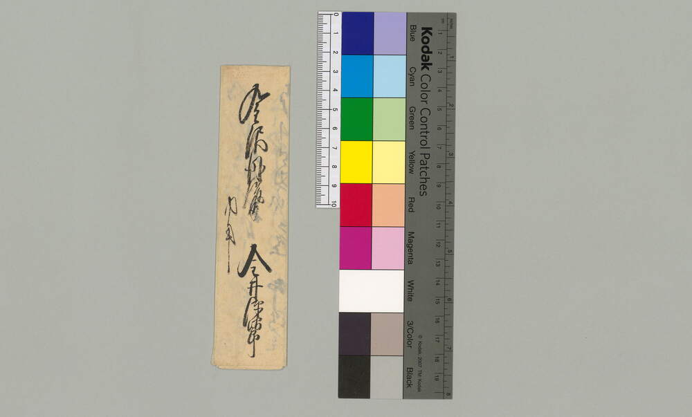 金澤丹後宛書簡(別当様御転位に付)