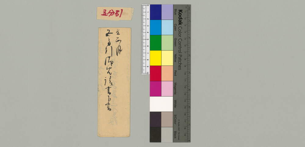 五分引御免請書下書