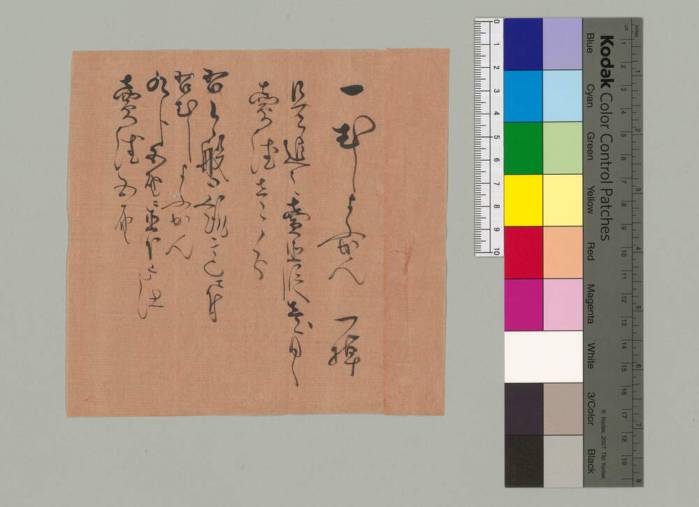 作品画像：むしようかん値下