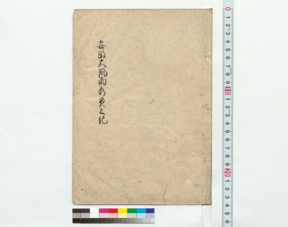 作品画像：安政大風雨水災之記