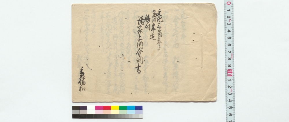 作品画像：文化三寅年より当戌歳迄臨時諸家上納金調書