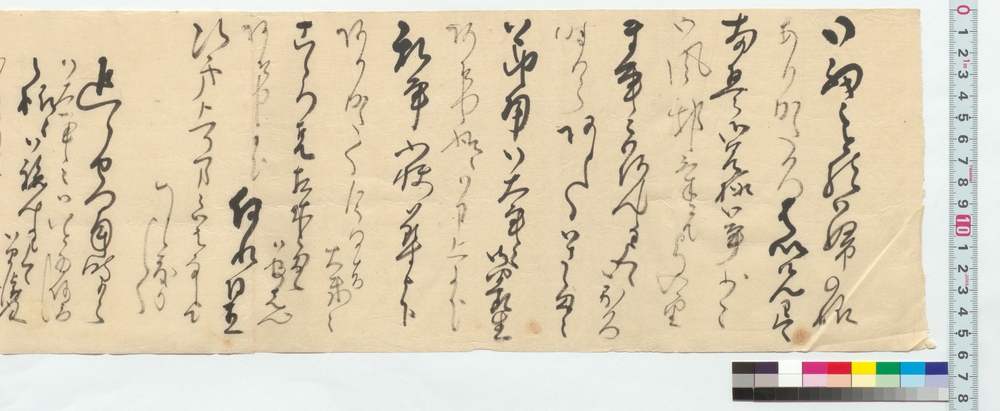 作品画像：御姉様宛書簡