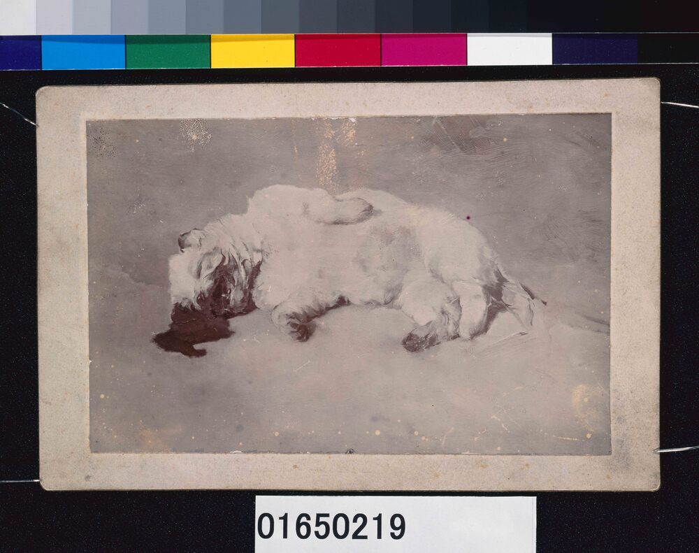 作品画像：川村清雄画「子犬の死」