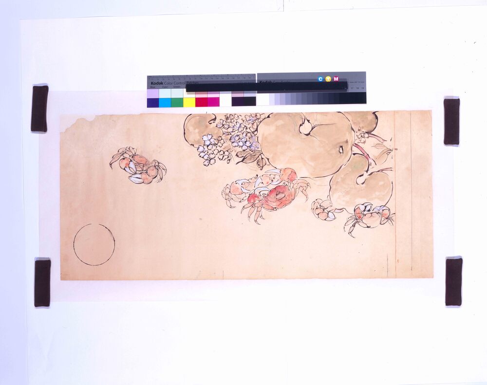 作品画像：下絵 蟹