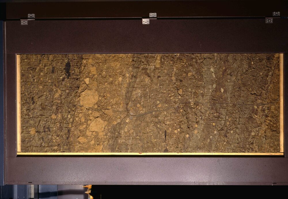 作品画像：安政江戸地震噴砂跡