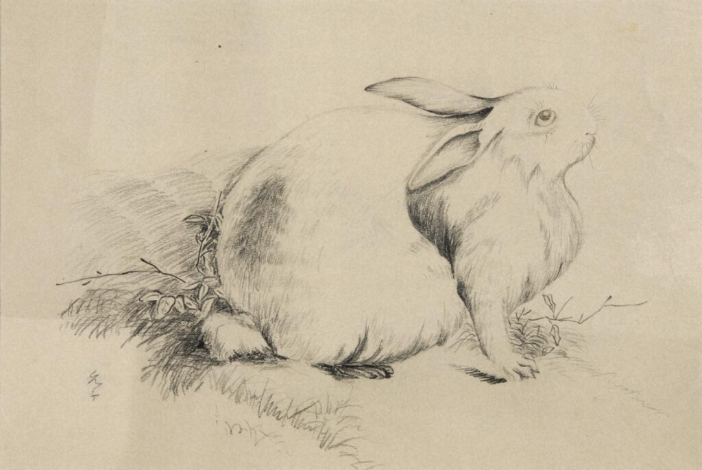作品画像：ウサギ