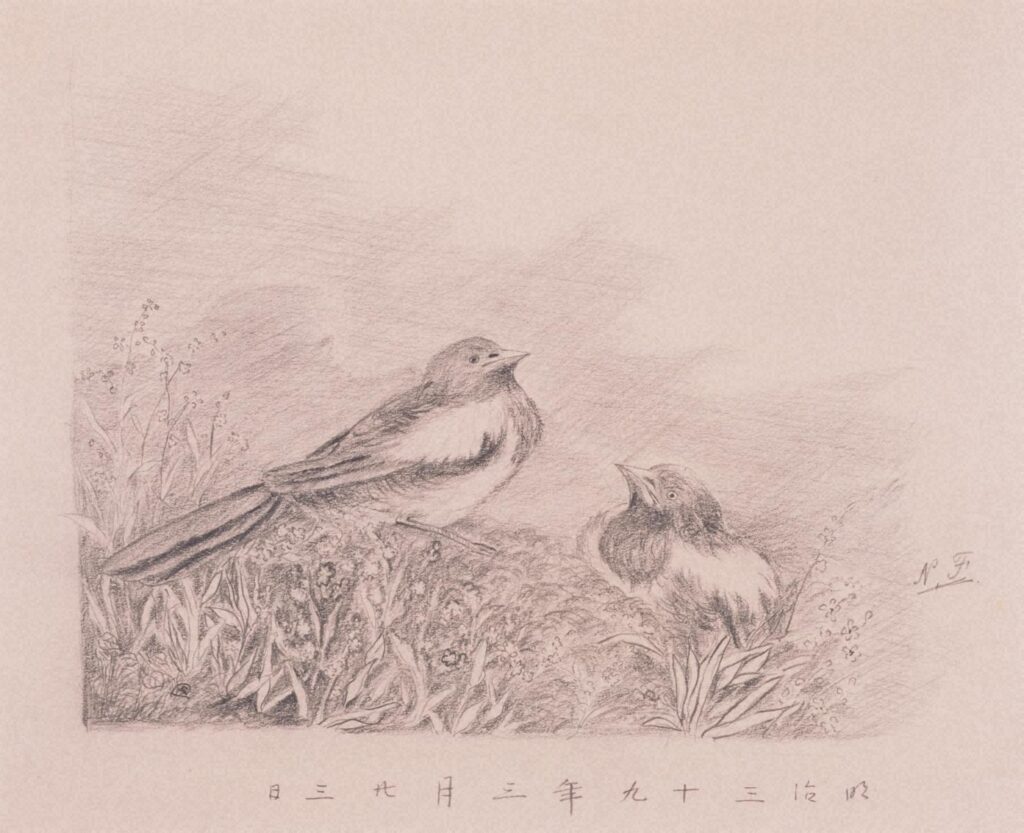 作品画像：小鳥