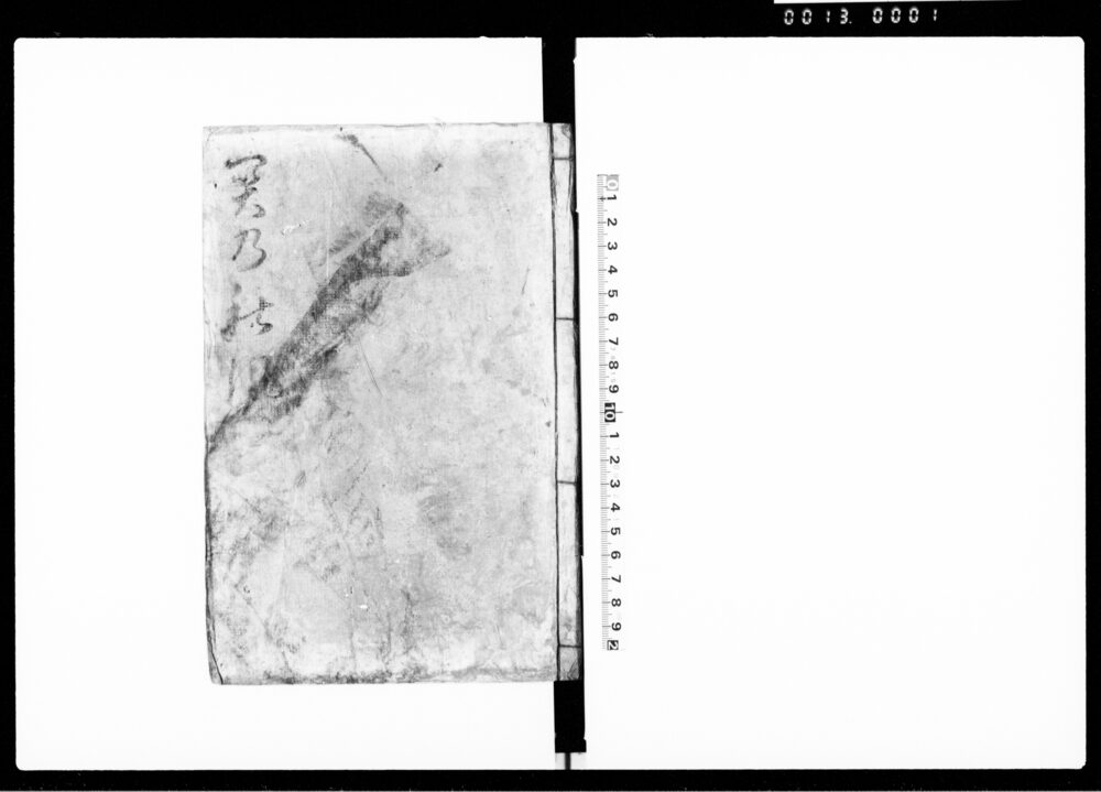 作品画像：関乃新風