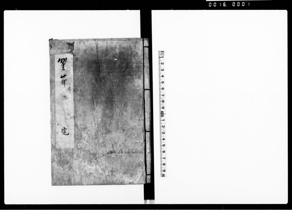 作品画像：野芹